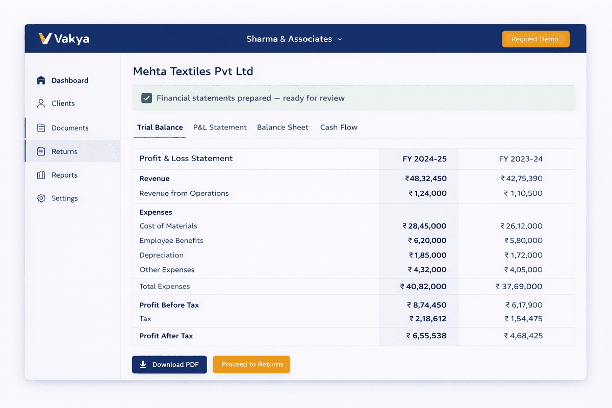 Financial statements output showing P&L with Trial Balance, Balance Sheet, and Cash Flow tabs